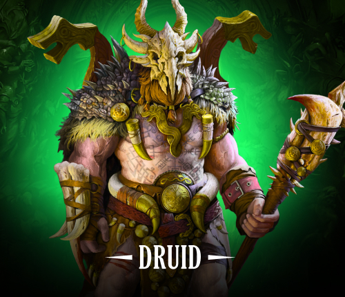 Druid Build